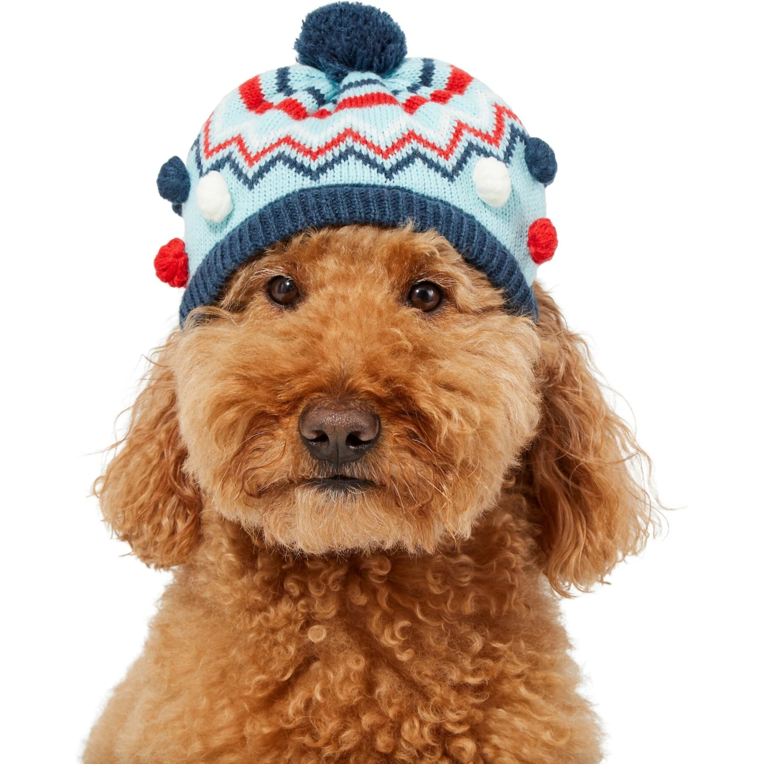 Frisco Pom Pom Dog & Cat Knitted Hat - Image 3
