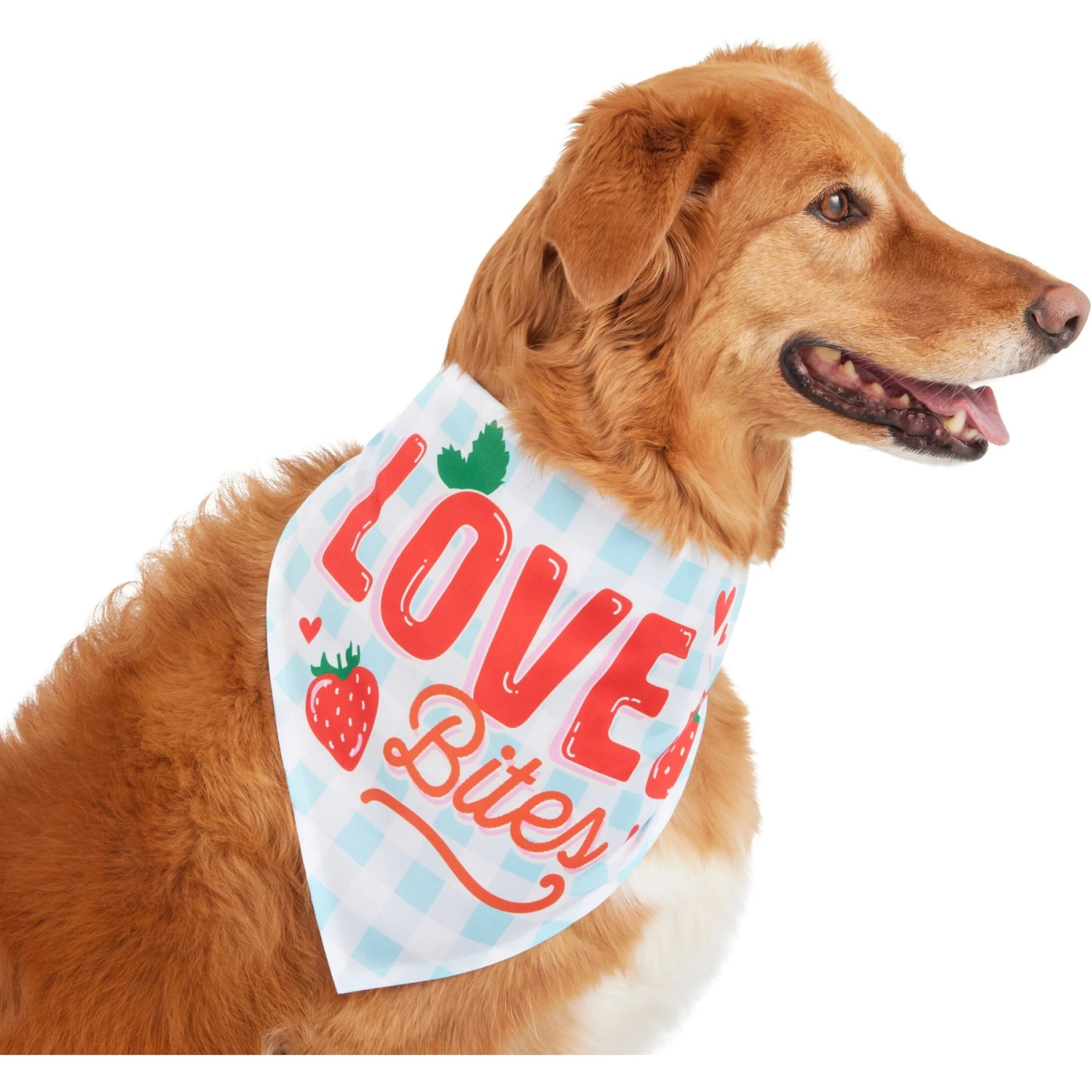 Frisco Love Bites Dog & Cat Bandana