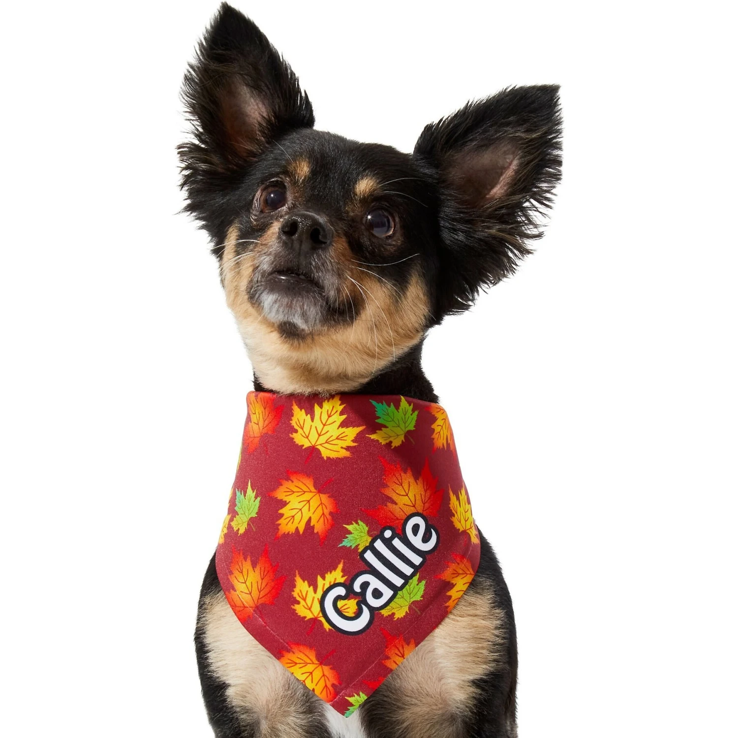 Frisco Fall Leaves Personalized Dog & Cat Bandana - Image 7