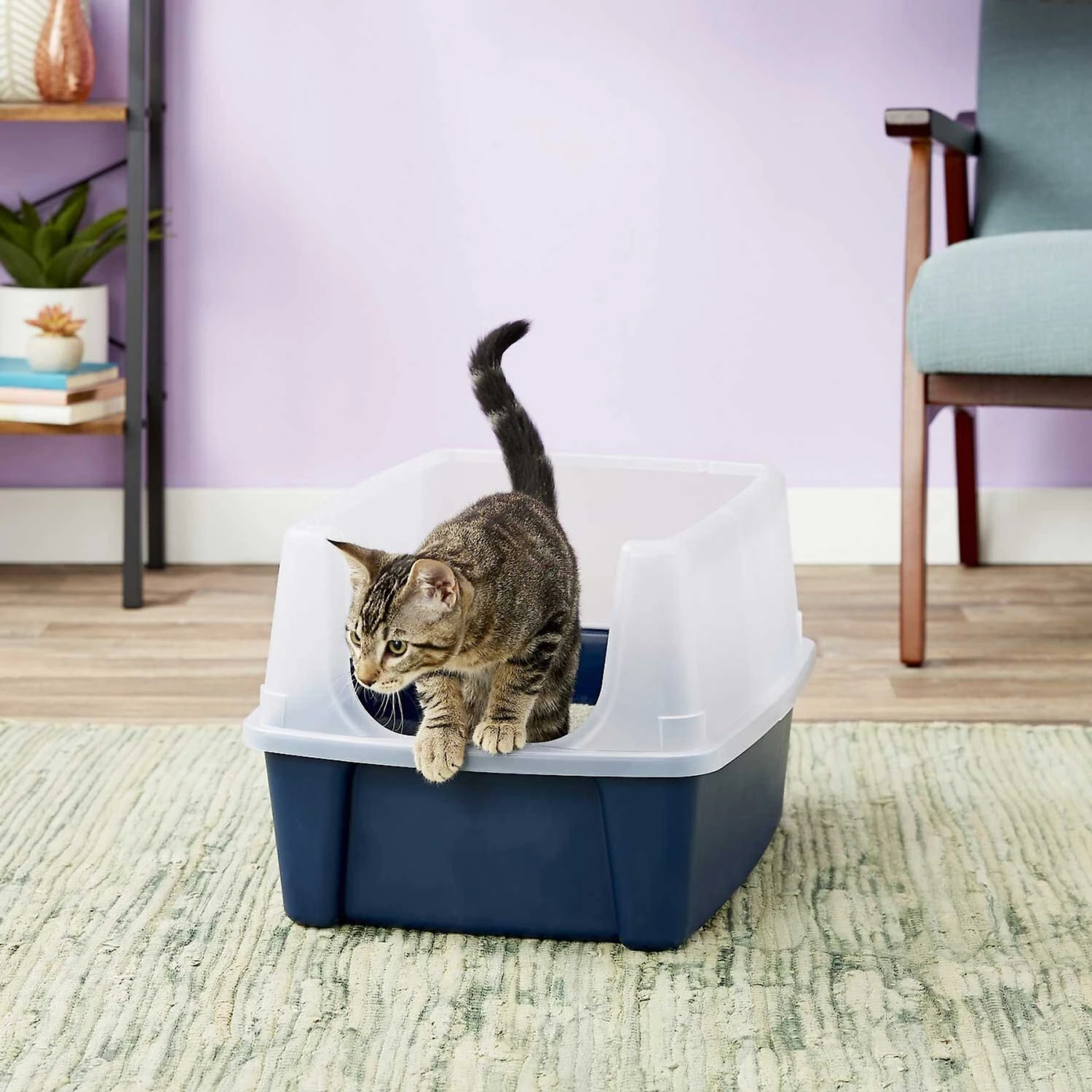 Frisco Plastic Litter Scooper With Caddy & IRIS USA Open Top Litter Box With Scatter Shield - Image 7