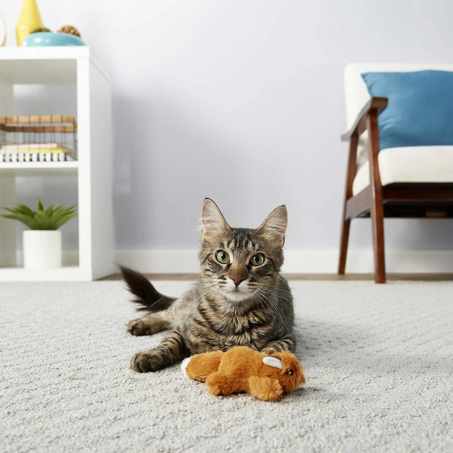 Sheba Meaty Tender Sticks Tuna Flavor Soft Adult Cat Treats & Frisco Squirrel Plush Cat Toy With Refillable Catnip - Image 6