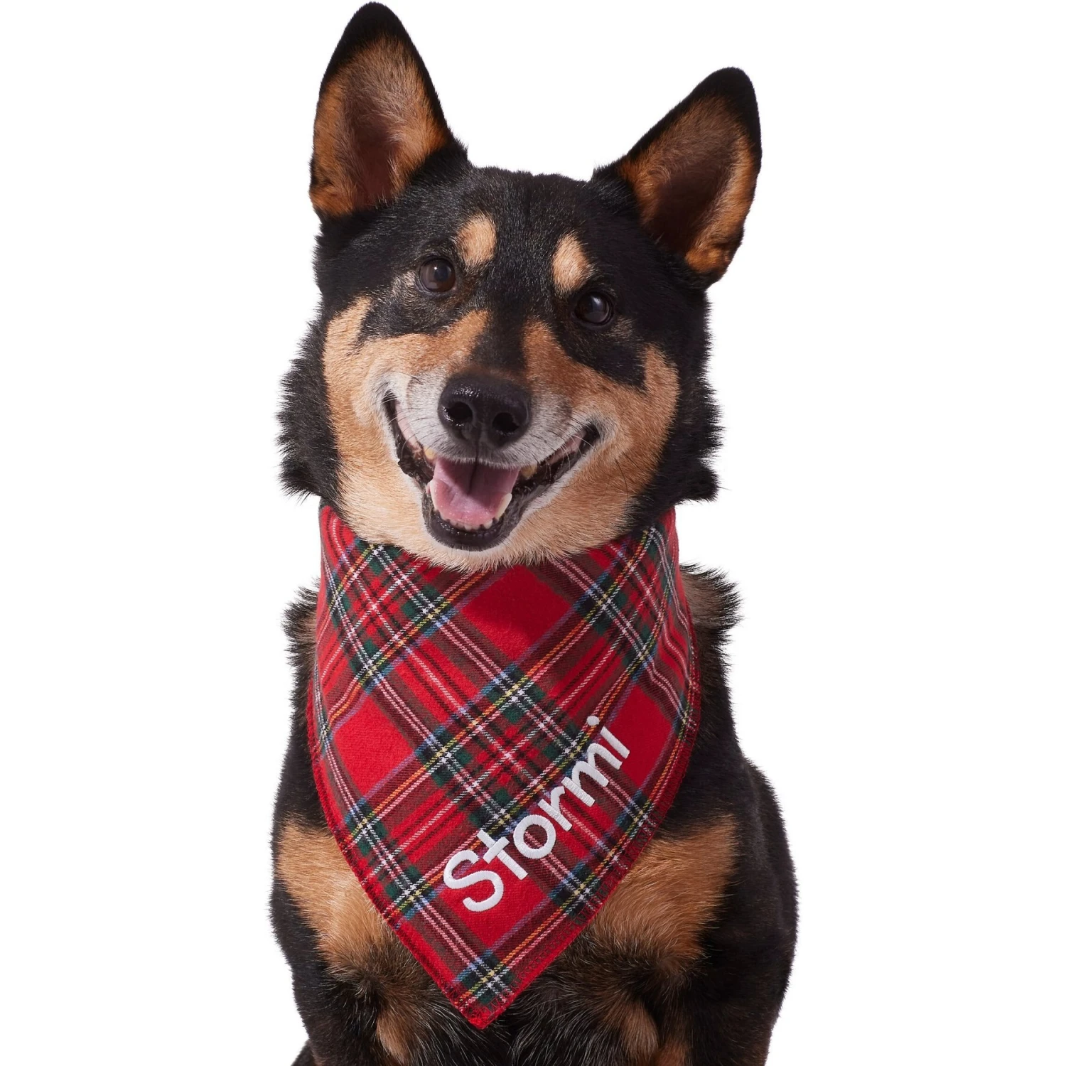 Frisco Tartan Plaid Embroidered Personalized Dog & Cat Bandana - Image 6