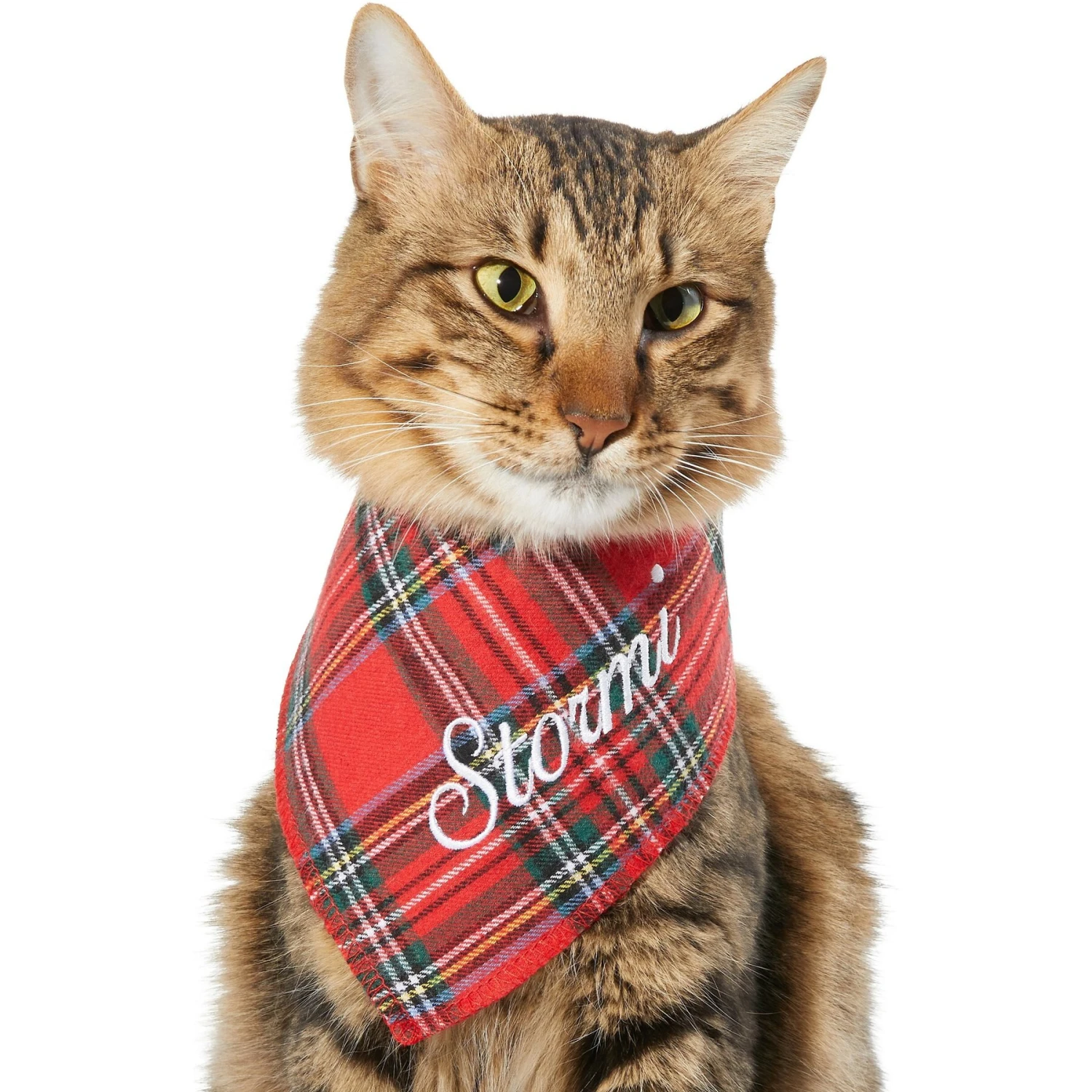 Frisco Tartan Plaid Embroidered Personalized Dog & Cat Bandana - Image 7