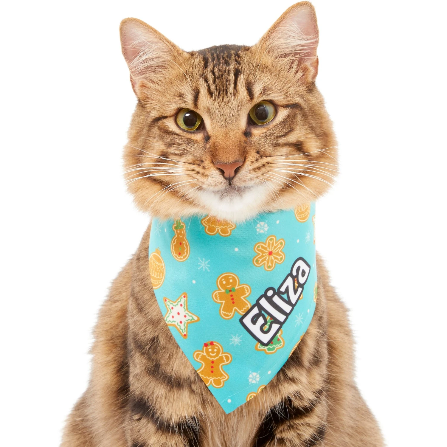 Frisco Gingerbread Cookie Personalized Dog & Cat Bandana - Image 8