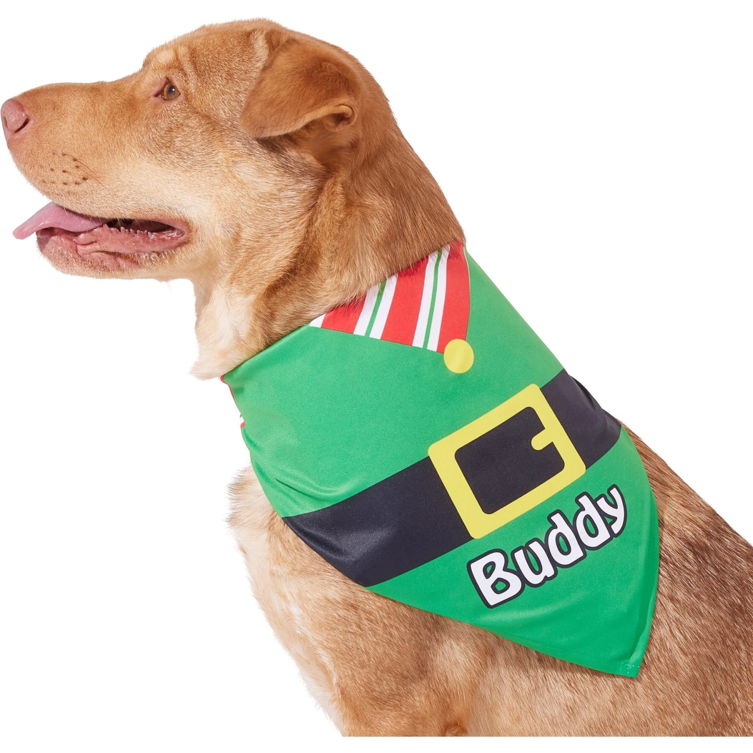 Frisco Santa's Favorite Elf Personalized Dog & Cat Bandana - Image 7