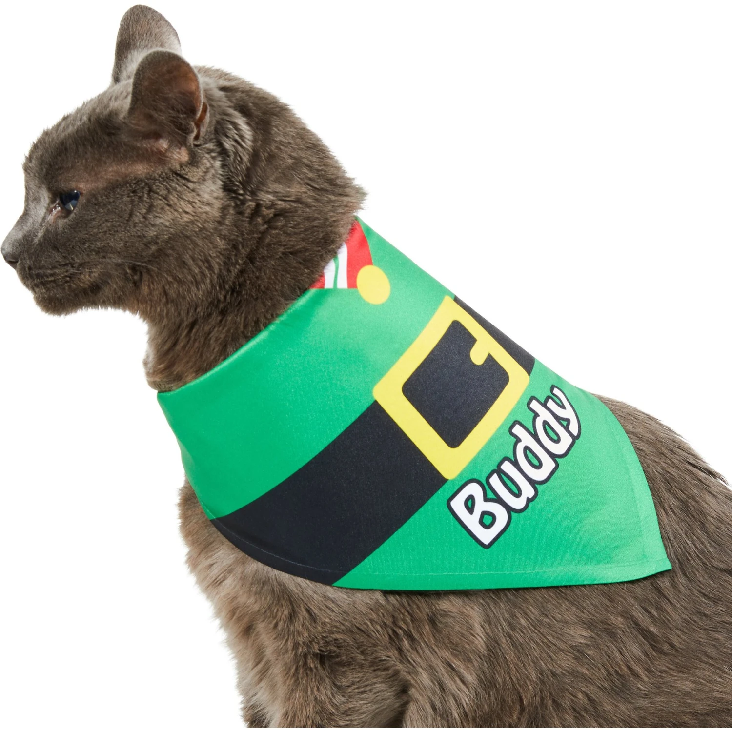 Frisco Santa's Favorite Elf Personalized Dog & Cat Bandana - Image 8