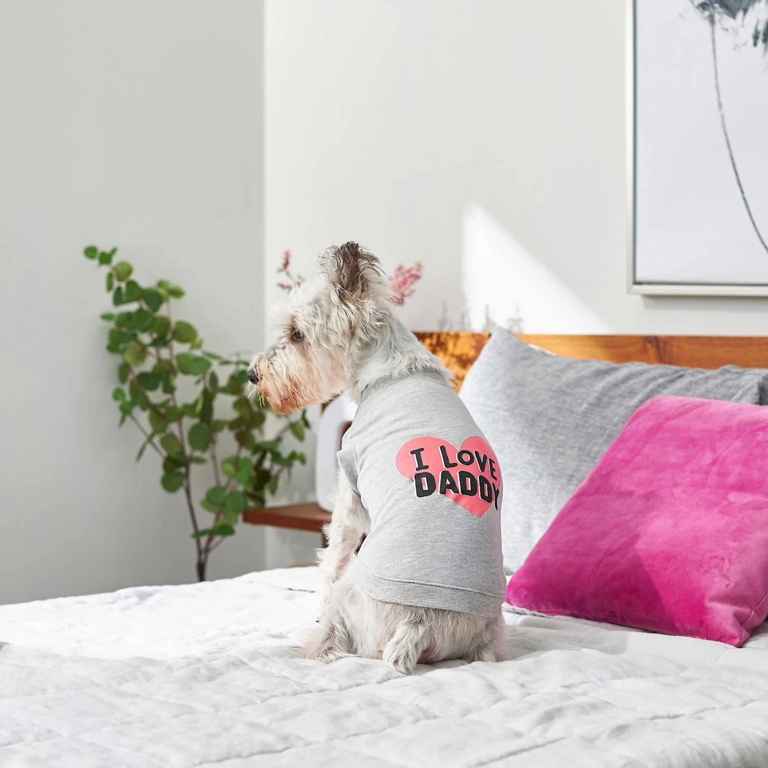 Frisco I Love Daddy Dog & Cat T-Shirt, Gray & Frisco I Love Mommy Dog & Cat T-Shirt - Image 4