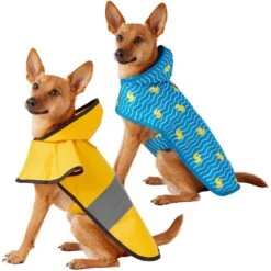 Frisco Lightweight Rainy Days Dog Raincoat & Frisco Lightweight Rubber Ducky Dog Raincoat
