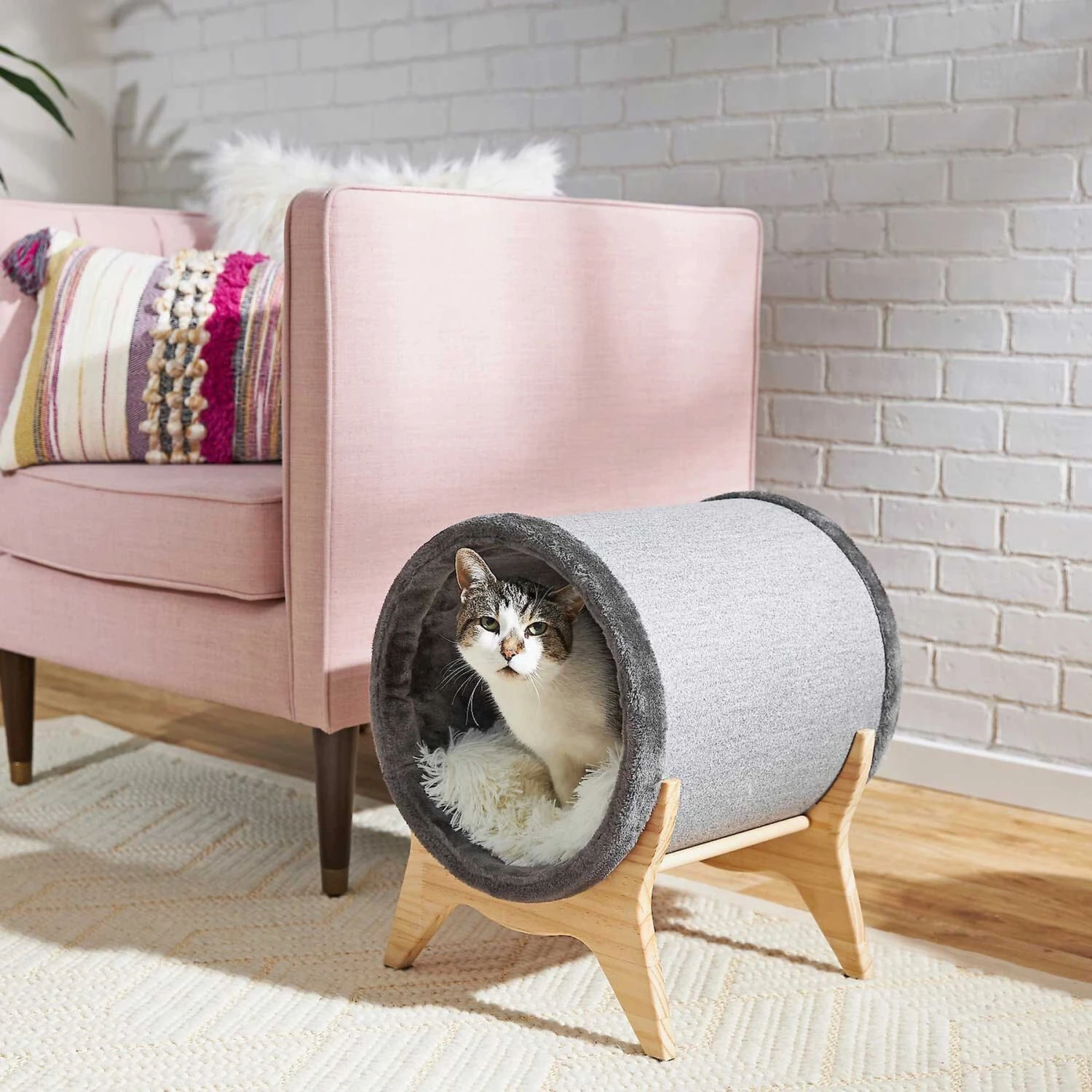 Frisco Modern Round Elevated Cat Bed & Frisco Modern Tunnel Elevated Cat Bed - Image 8