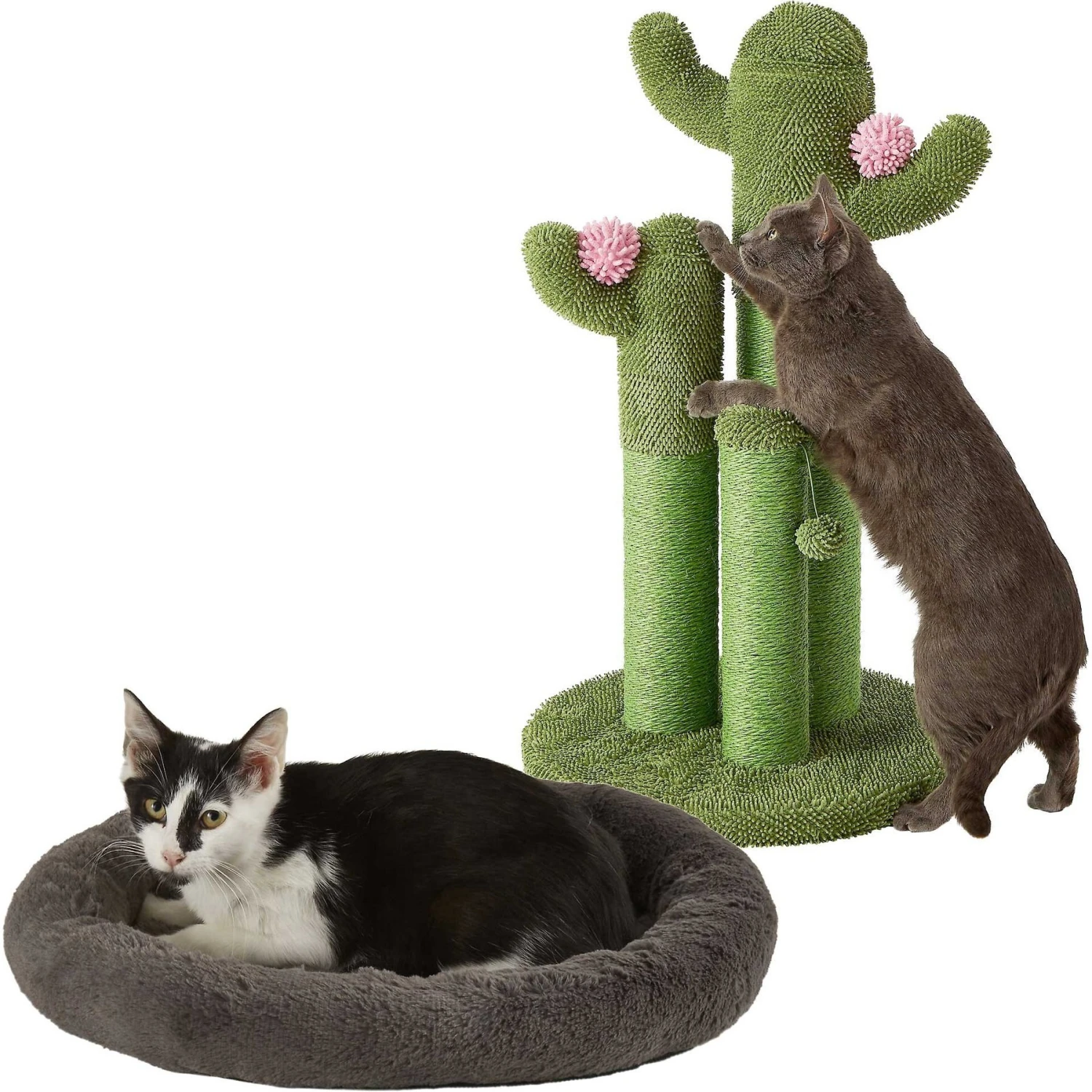 Frisco Self Warming Bolster Round Kitten Bed & Frisco Cactus Cat Scratching Post