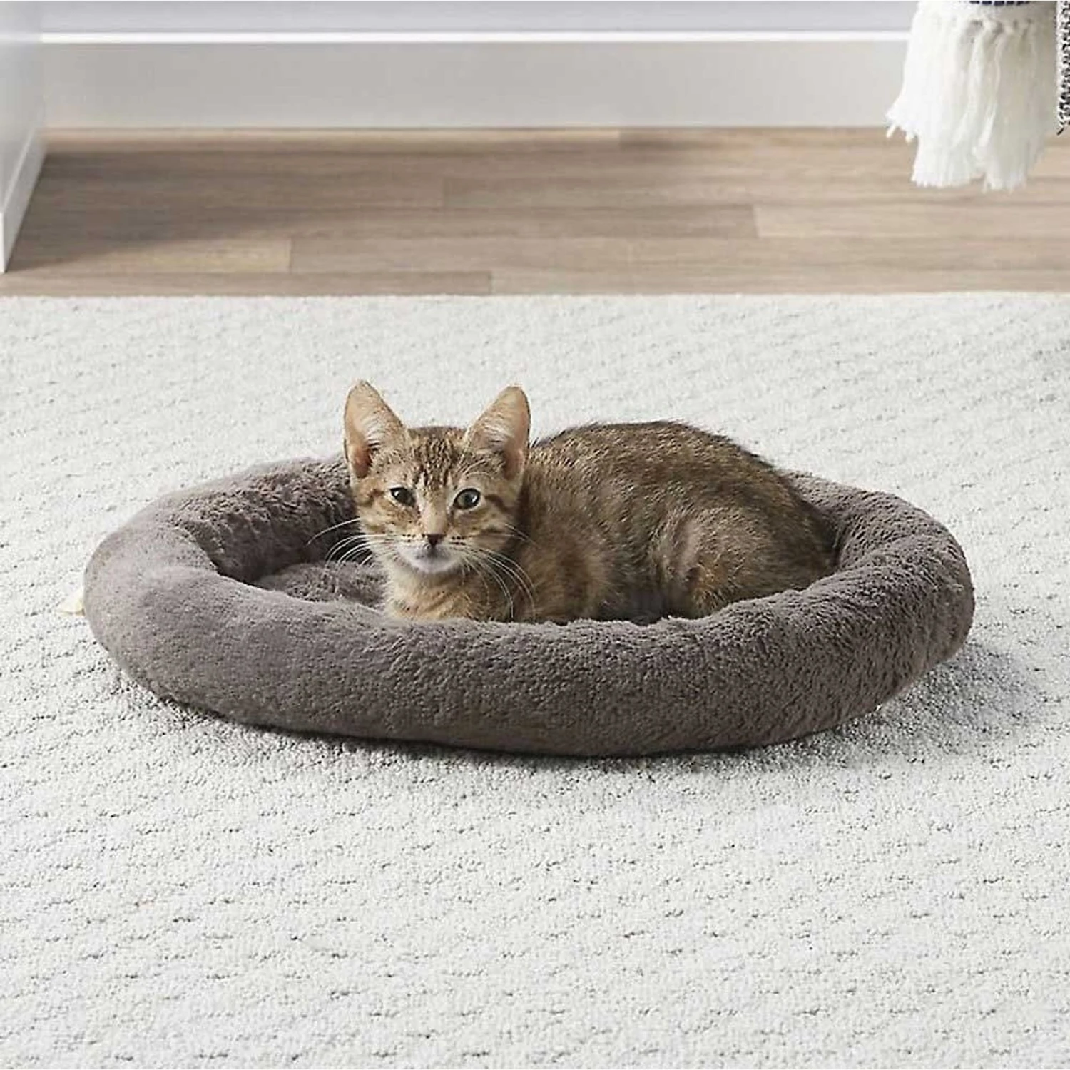 Frisco Self Warming Bolster Round Kitten Bed & Frisco Cactus Cat Scratching Post - Image 4
