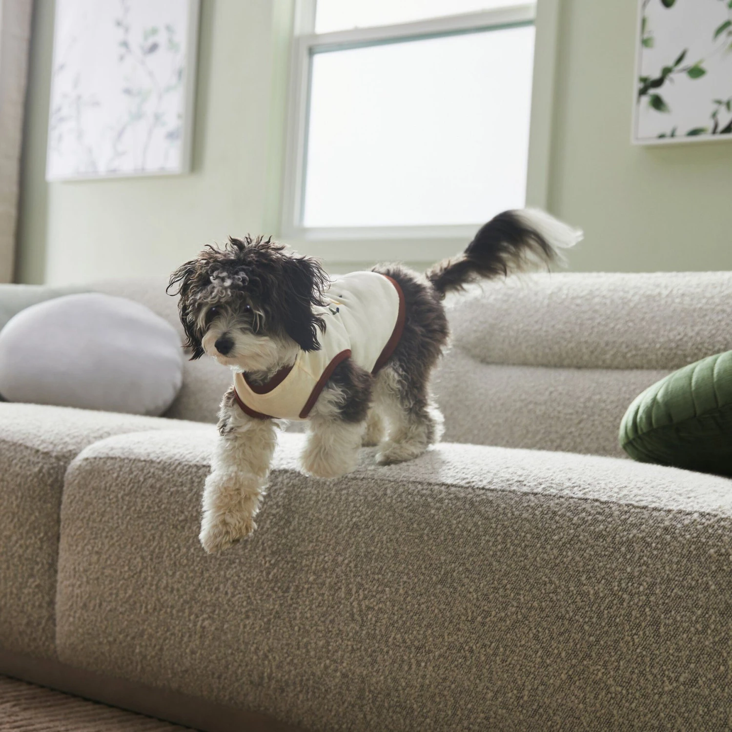 Frisco Problem Child Dog & Cat T-Shirt - Image 6