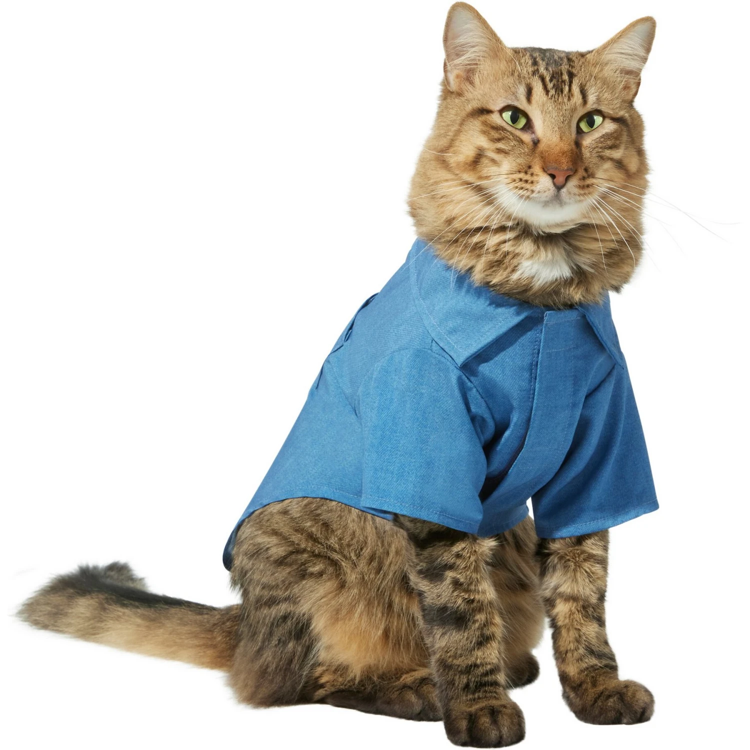 Frisco Chambray Pineapple Dog & Cat Shirt - Image 3