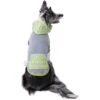Frisco Green Southwest Dog & Cat Hoodie