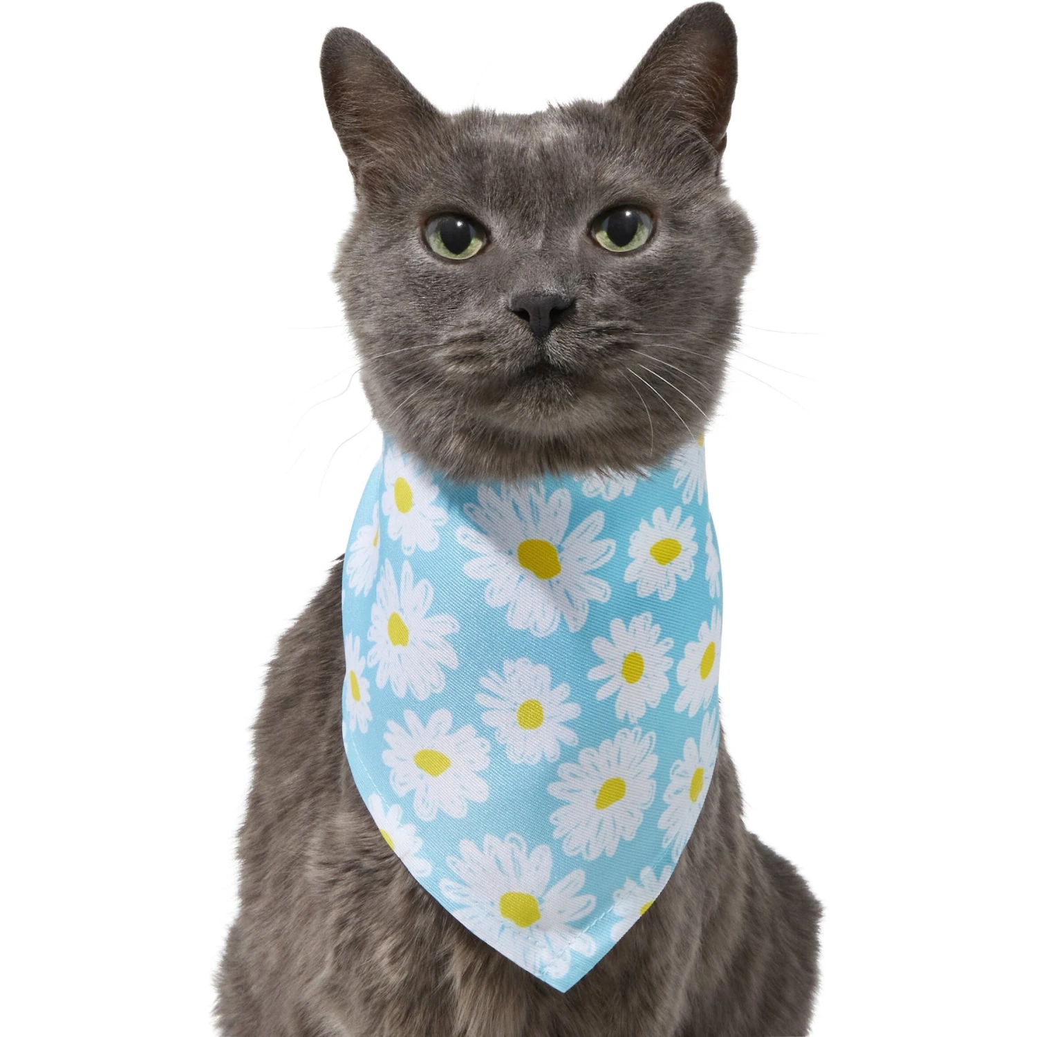 Frisco Daisy Dog & Cat Bandana - Image 3