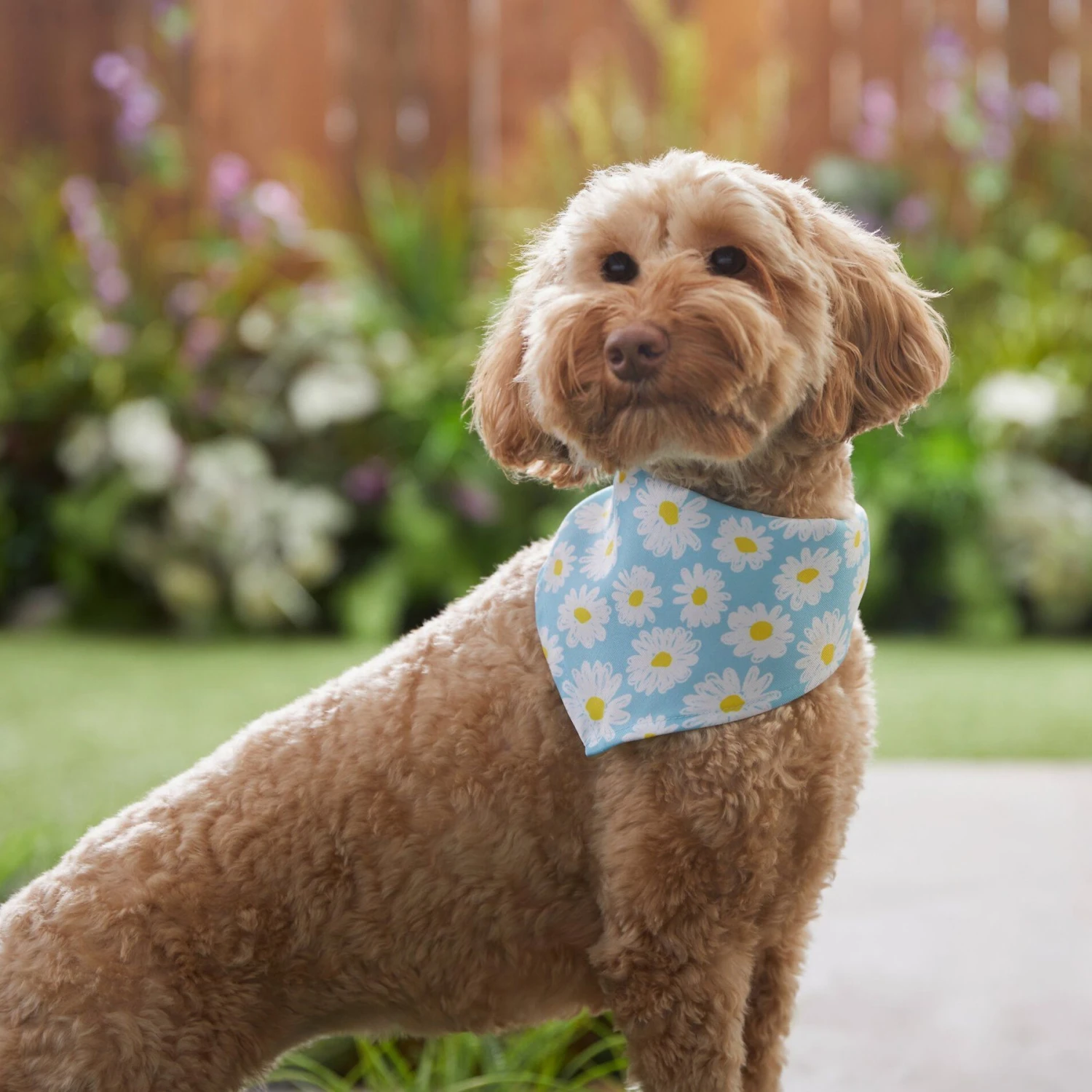 Frisco Daisy Dog & Cat Bandana - Image 6