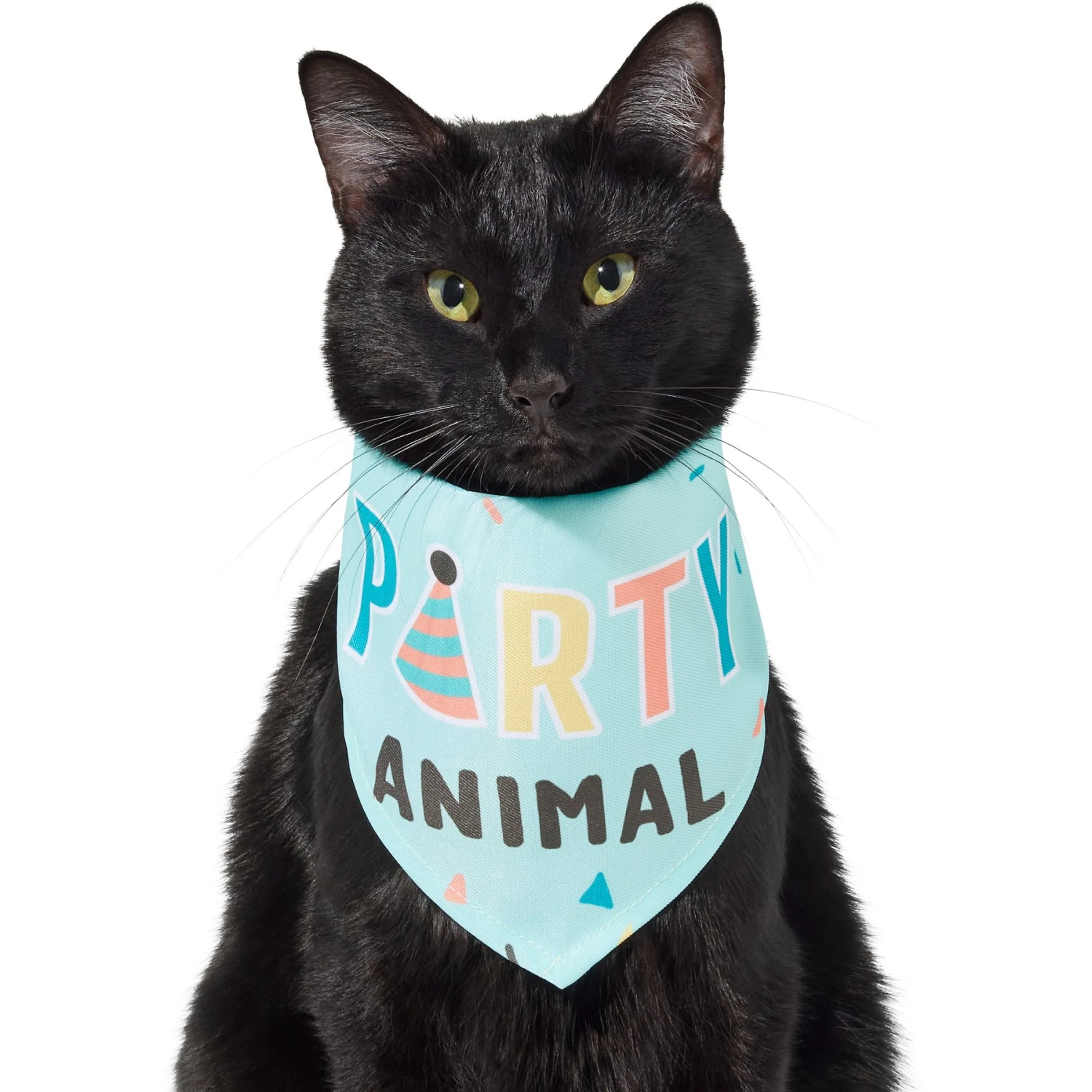 Frisco Party Animal Dog & Cat Bandana - Image 3