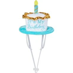 Frisco It's My Birthday Dog & Cat Hat