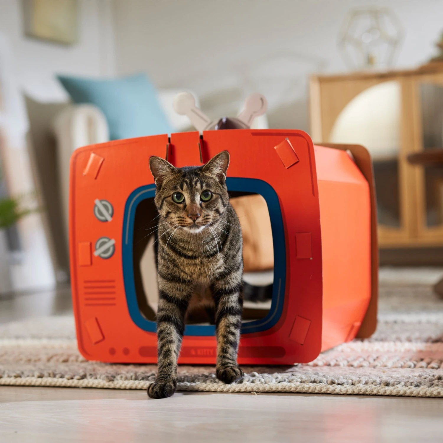 Frisco TV Set Cardboard Cat House - Image 5