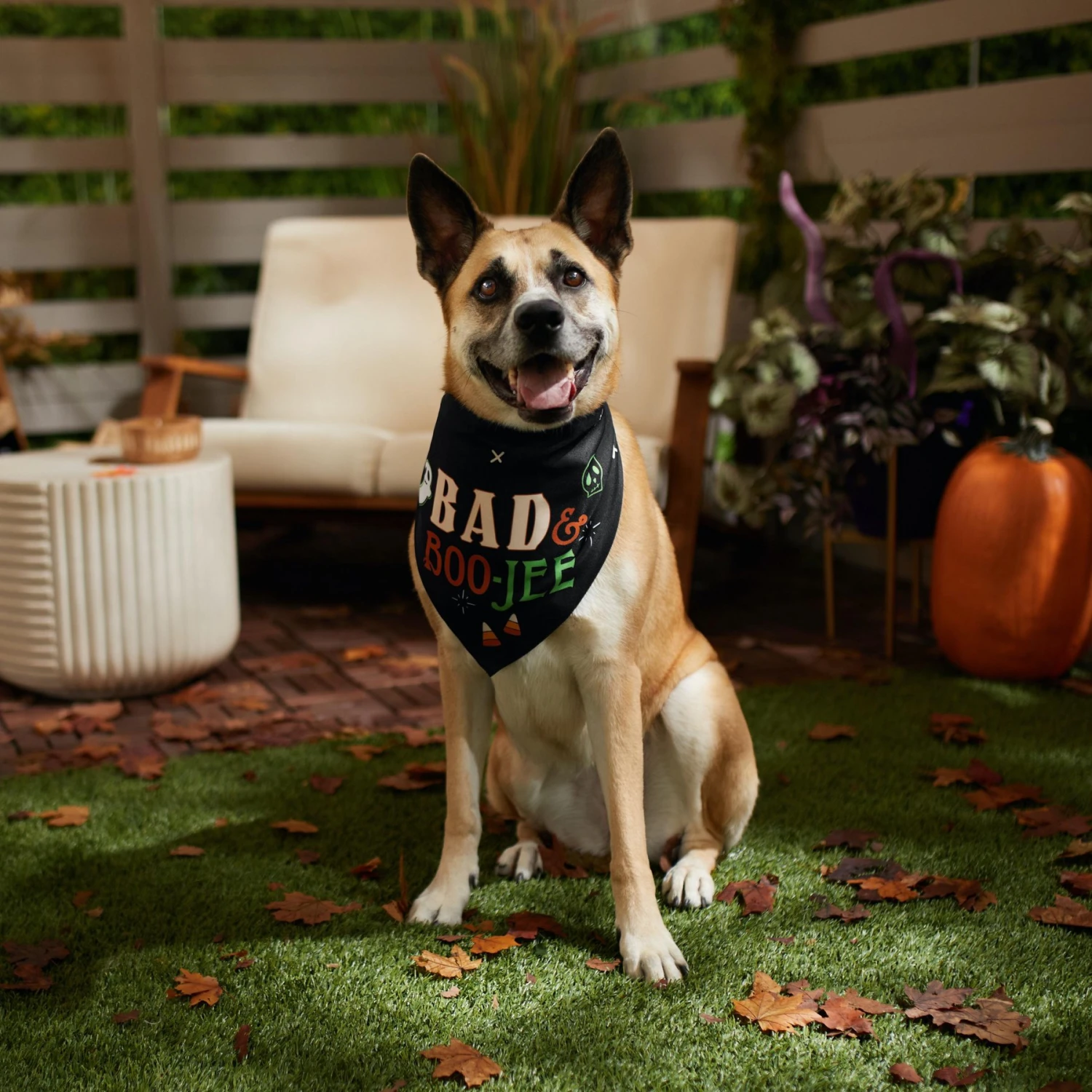 Frisco Bad & Boo-Jee Dog & Cat Costume Bandana - Image 7