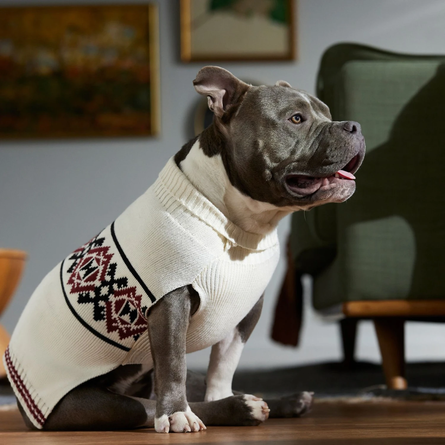 Frisco Geometric Pattern Dog & Cat Sweater - Image 7