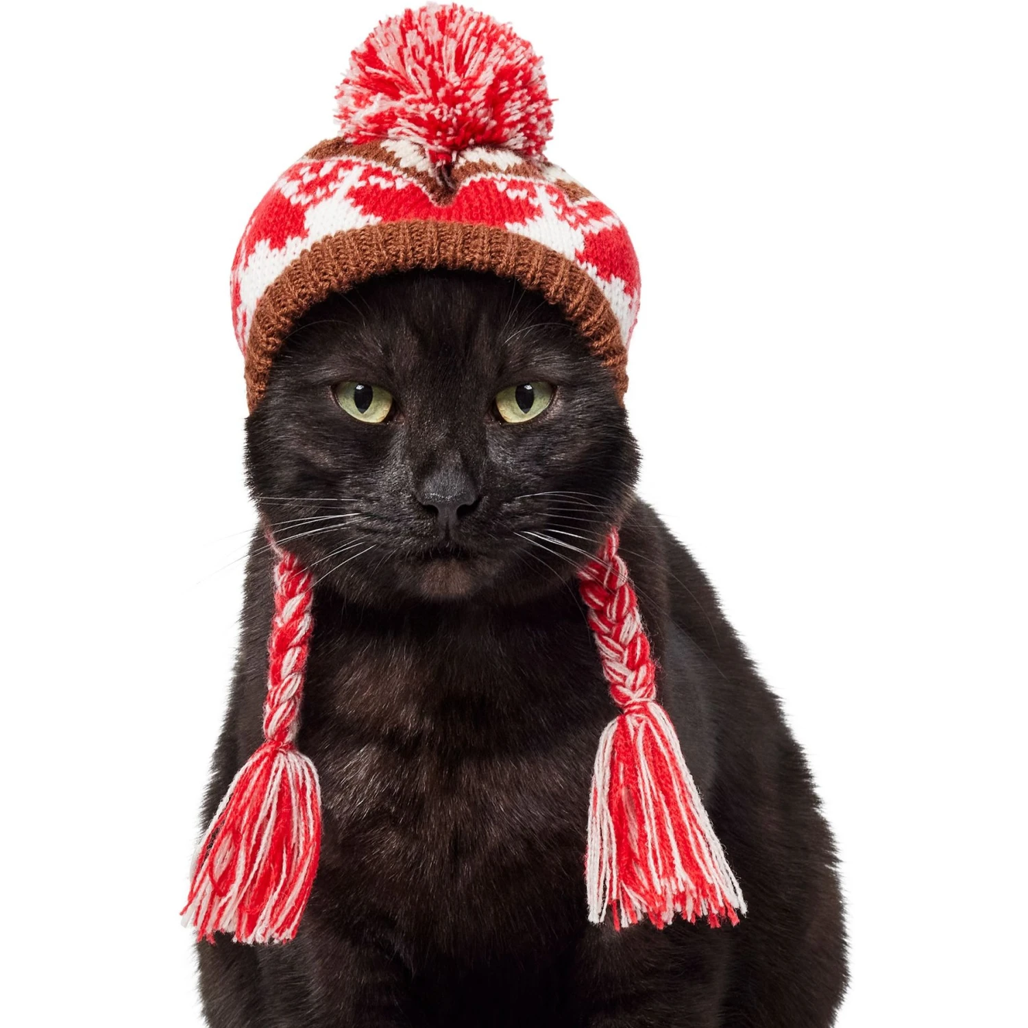 Frisco Reindeer Fair Isle Dog & Cat Pom Hat - Image 3