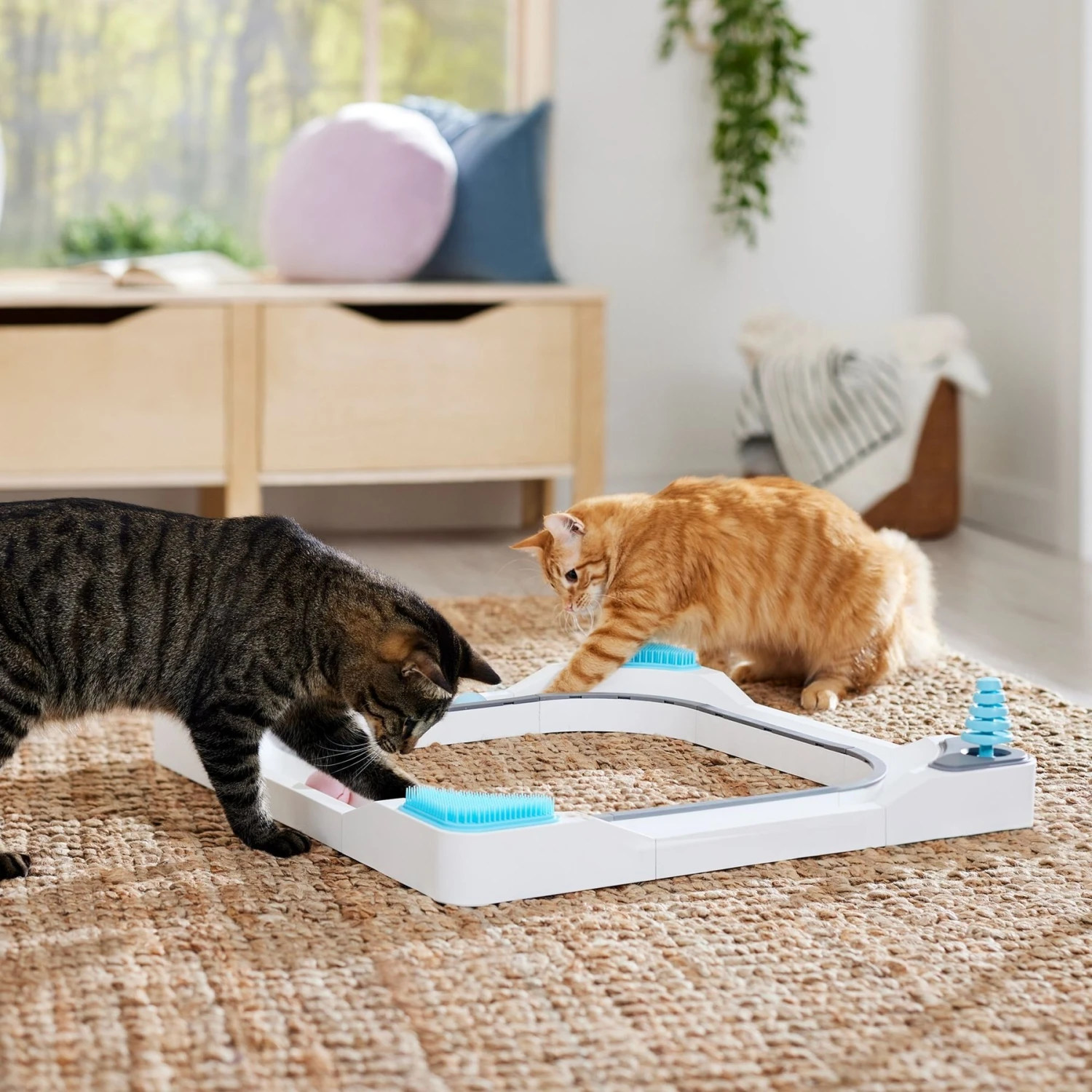 Frisco Play Activity Track Cat Toy - Image 4