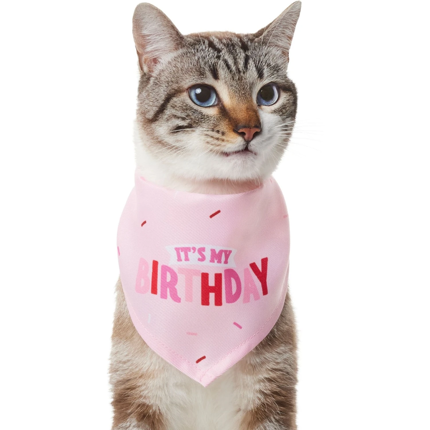 Frisco Dog & Cat Birthday Bandana - Image 3