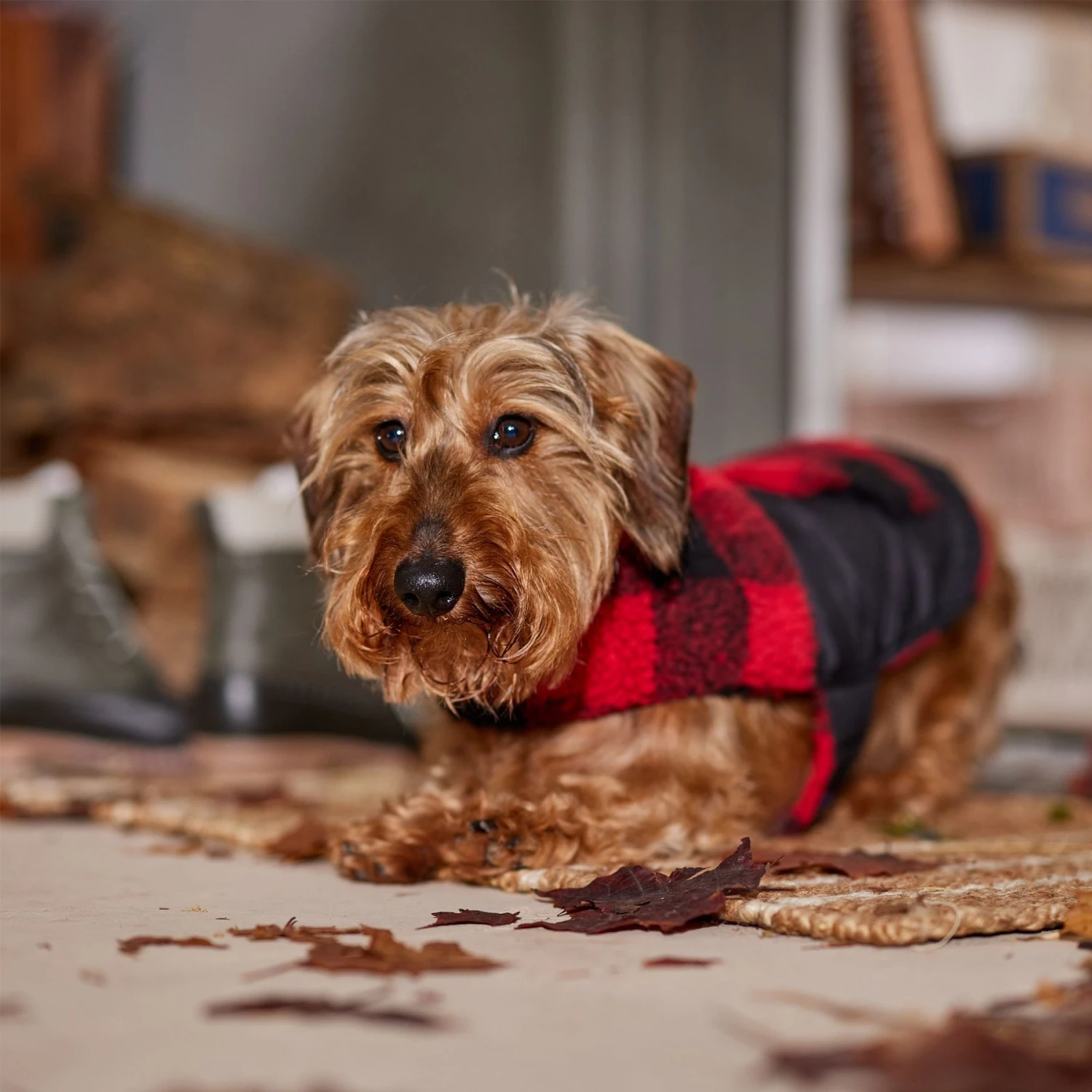 Frisco Reversible Medium Weight Boulder Plaid Dog & Cat Coat - Image 6