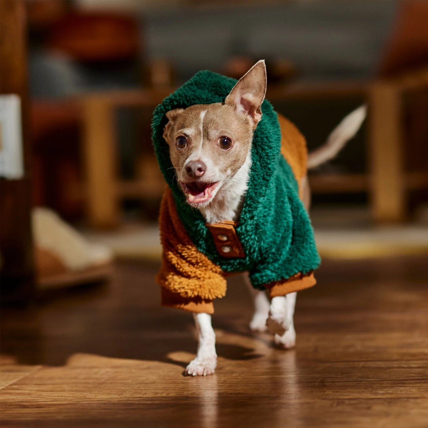 Frisco 2-Tone Colorblock Fleece Dog & Cat Hoodie - Image 8