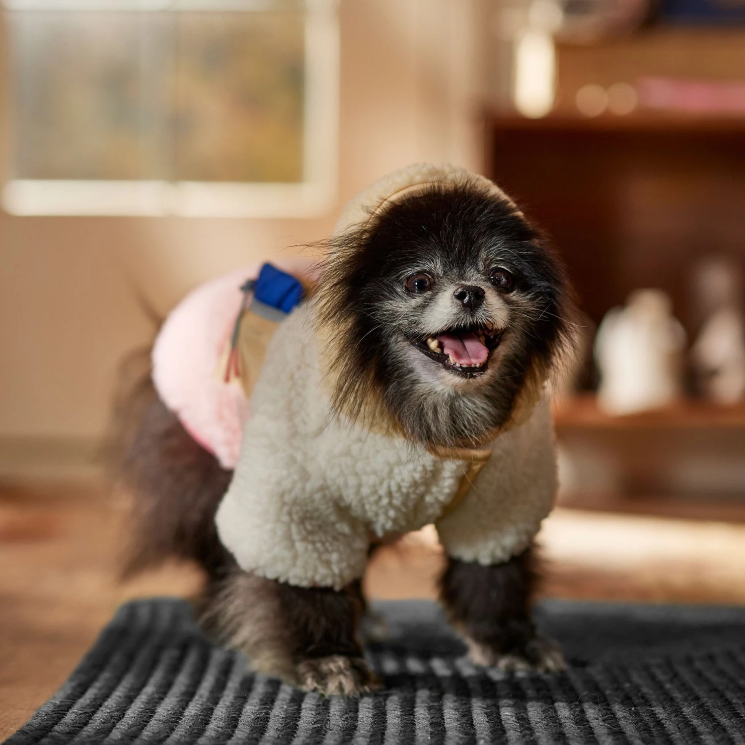 Frisco Colorblock Fleece Dog & Cat Hoodie W/ Pocket - Image 8