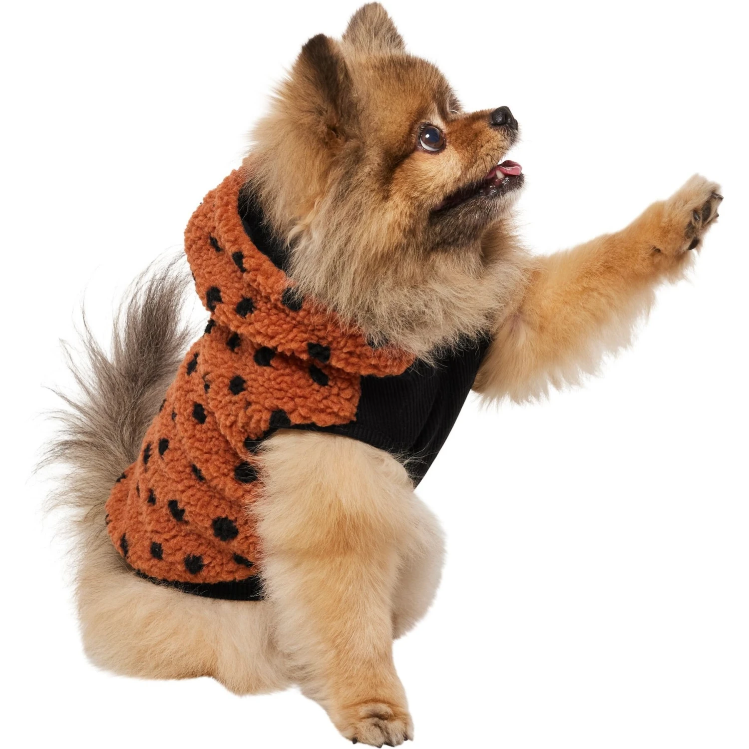Frisco Dotted Dog & Cat Hoodie - Image 3