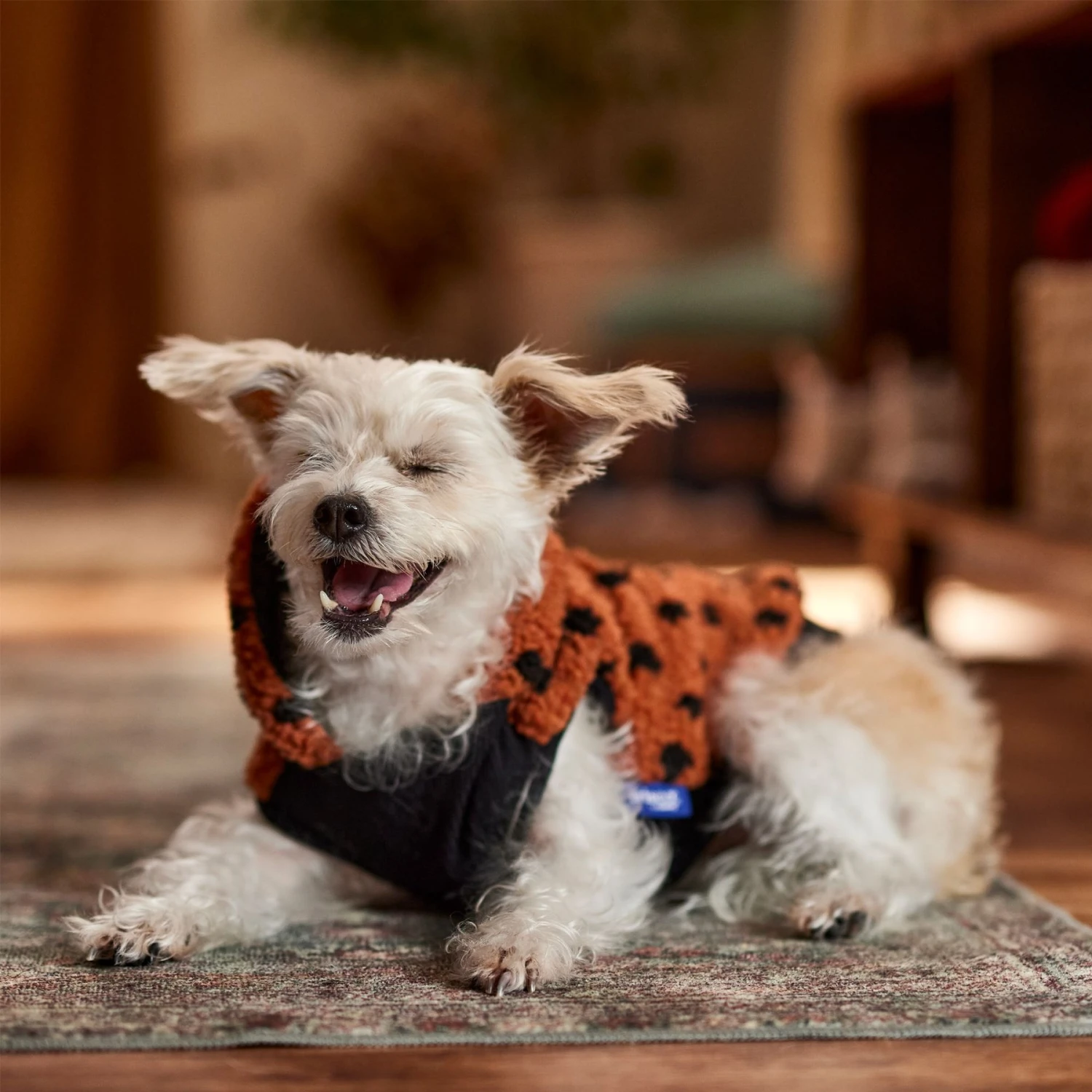 Frisco Dotted Dog & Cat Hoodie - Image 8