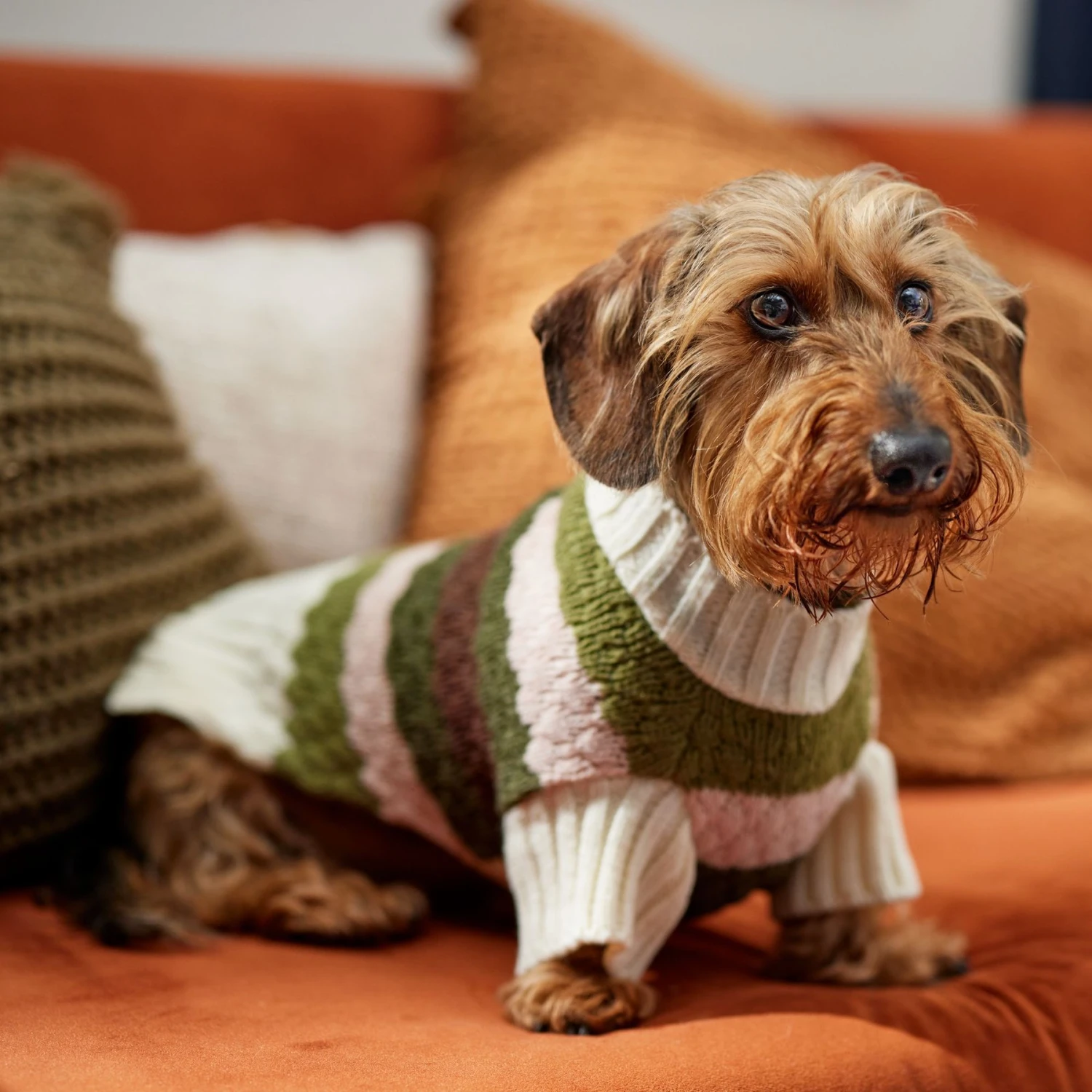 Frisco Bubble Knit Multi Striped Mock Neck Dog & Cat Sweater - Image 7
