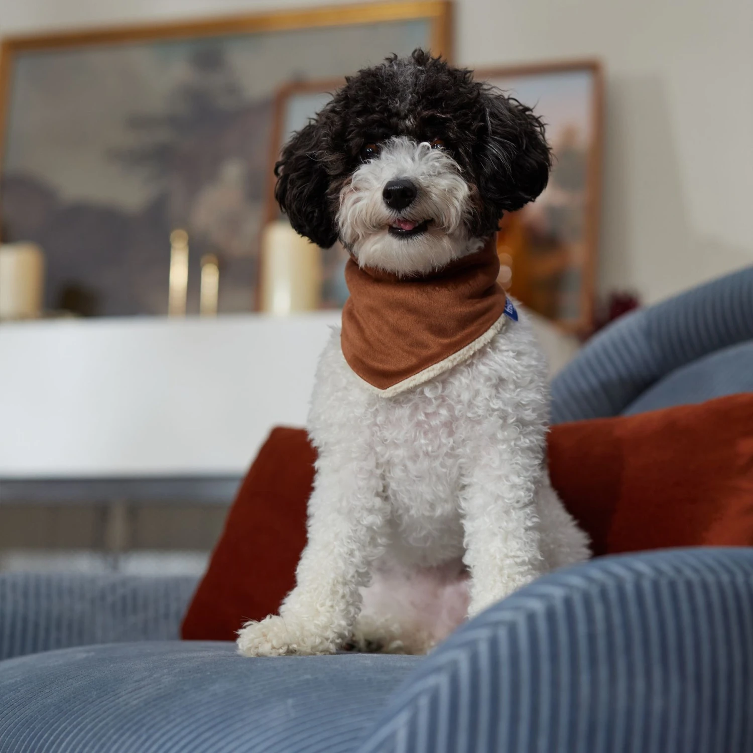 Frisco Reversible Cozy Knit Faux Fur Dog & Cat Pullover Bandana - Image 6