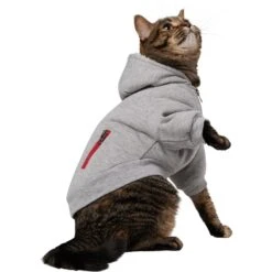 Frisco Sweatshirt Fleece Dog & Cat Hoodie With Sherpa Lining
