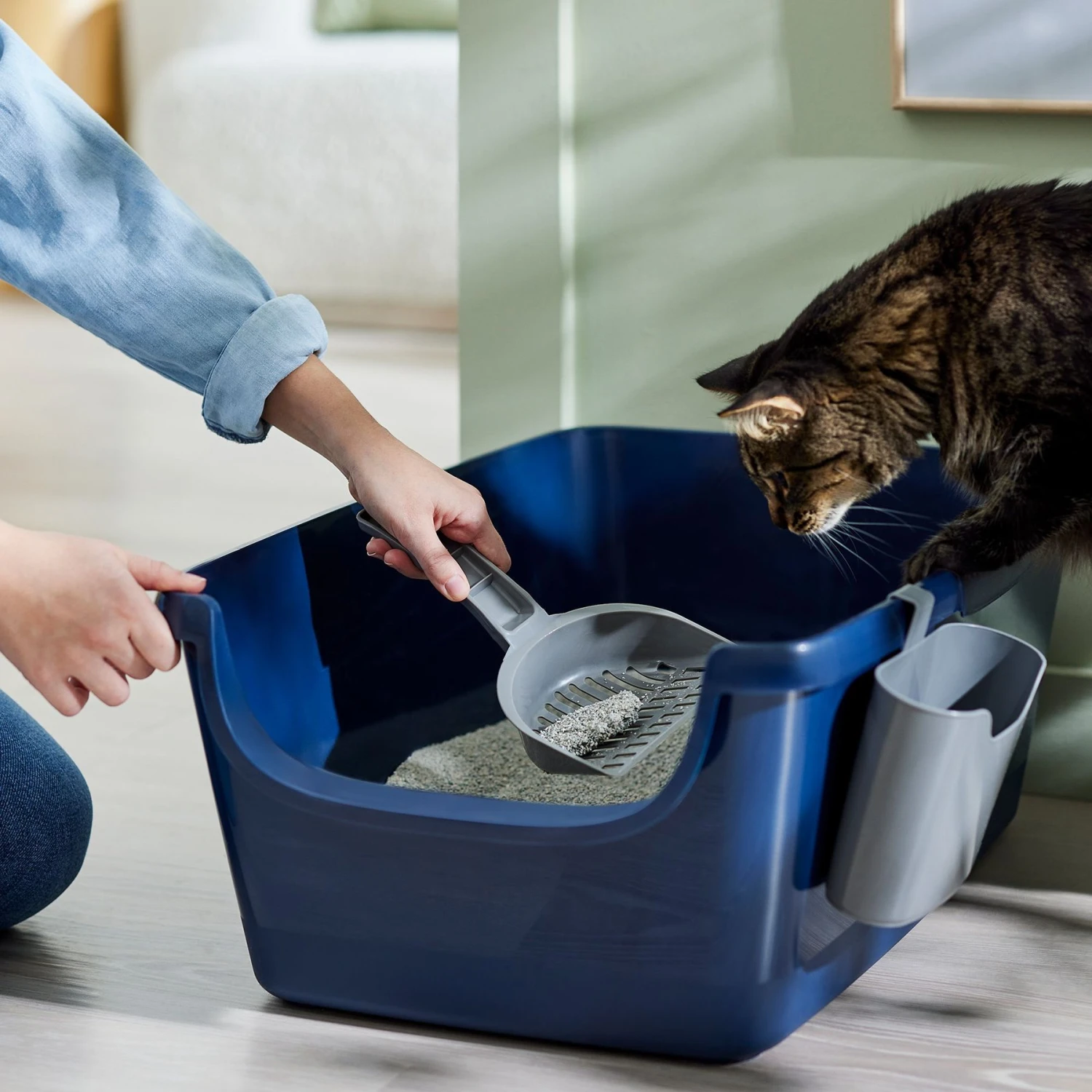 Frisco Open Top Cat Litter Box With Rim, Large & Frisco Plastic Litter Scooper With Caddy - Image 6