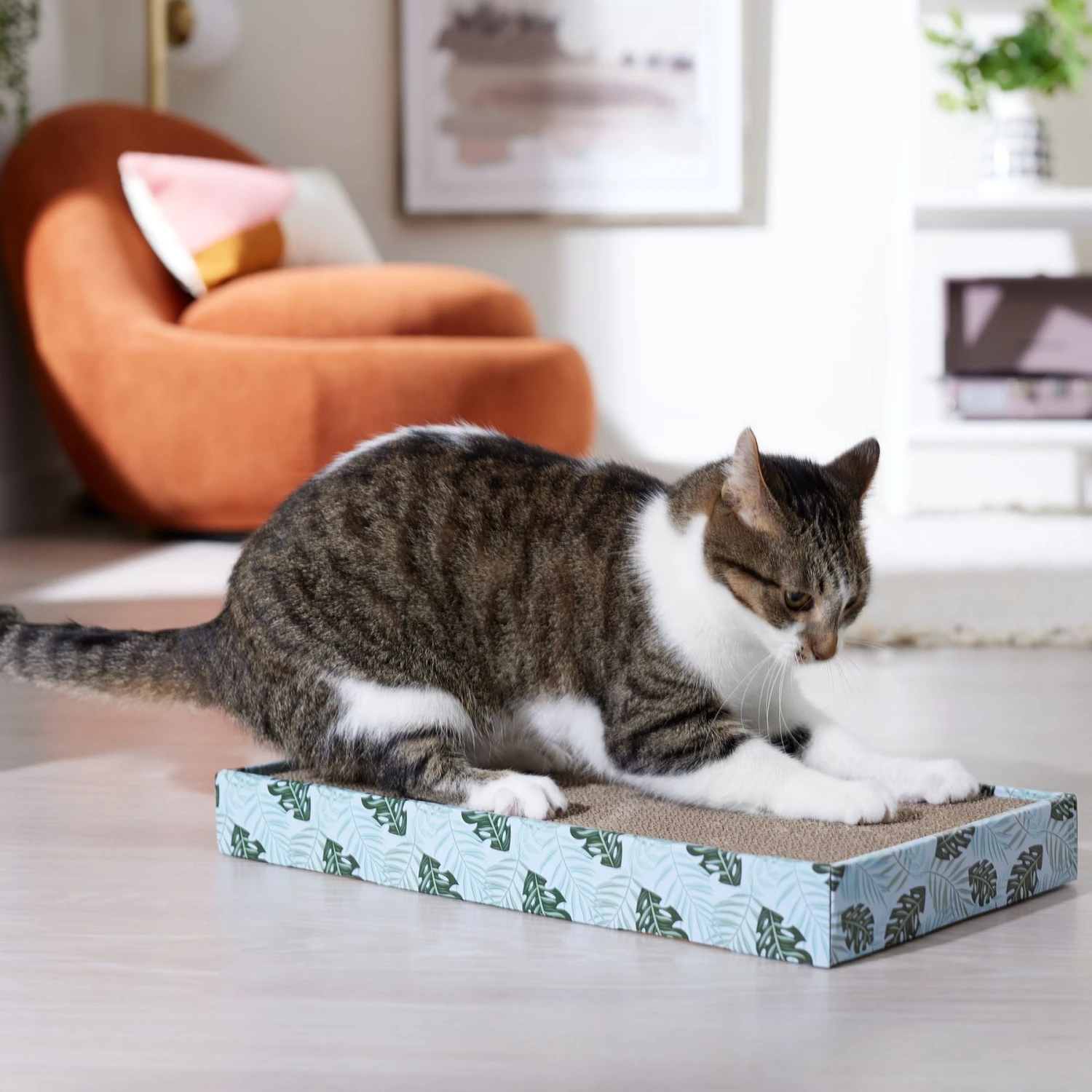 Frisco Double-Wide Cat Scratcher Toy With Catnip & Frisco Double-Wide Cat Scratcher Toy Refill With Catnip, 2 Count - Image 4